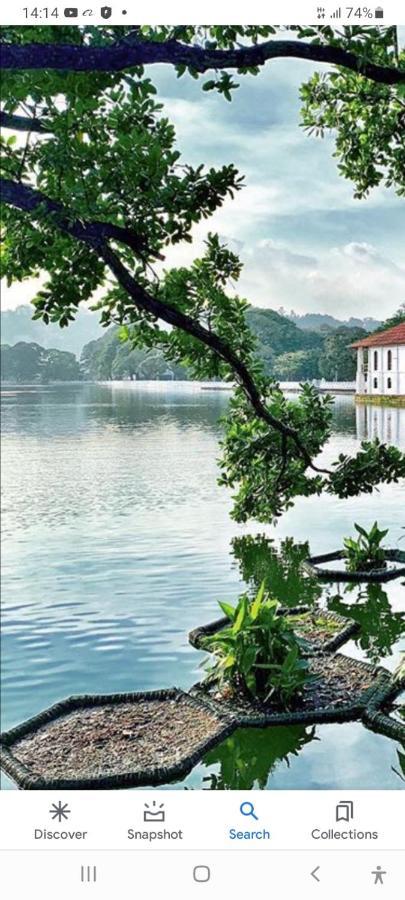 Charlton Kandy City Rest Exteriör bild